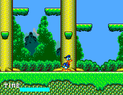 donald duck nes game